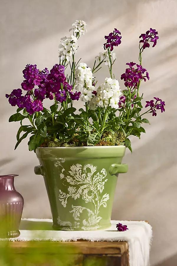 Botanical Silhouette Taper Planter - Image 0