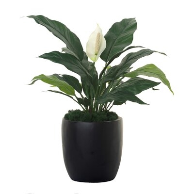 17" Artificial Plant in Planter - Image 0