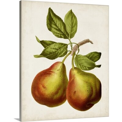 Antique Fruit XI Canvas Wall Art - Image 0