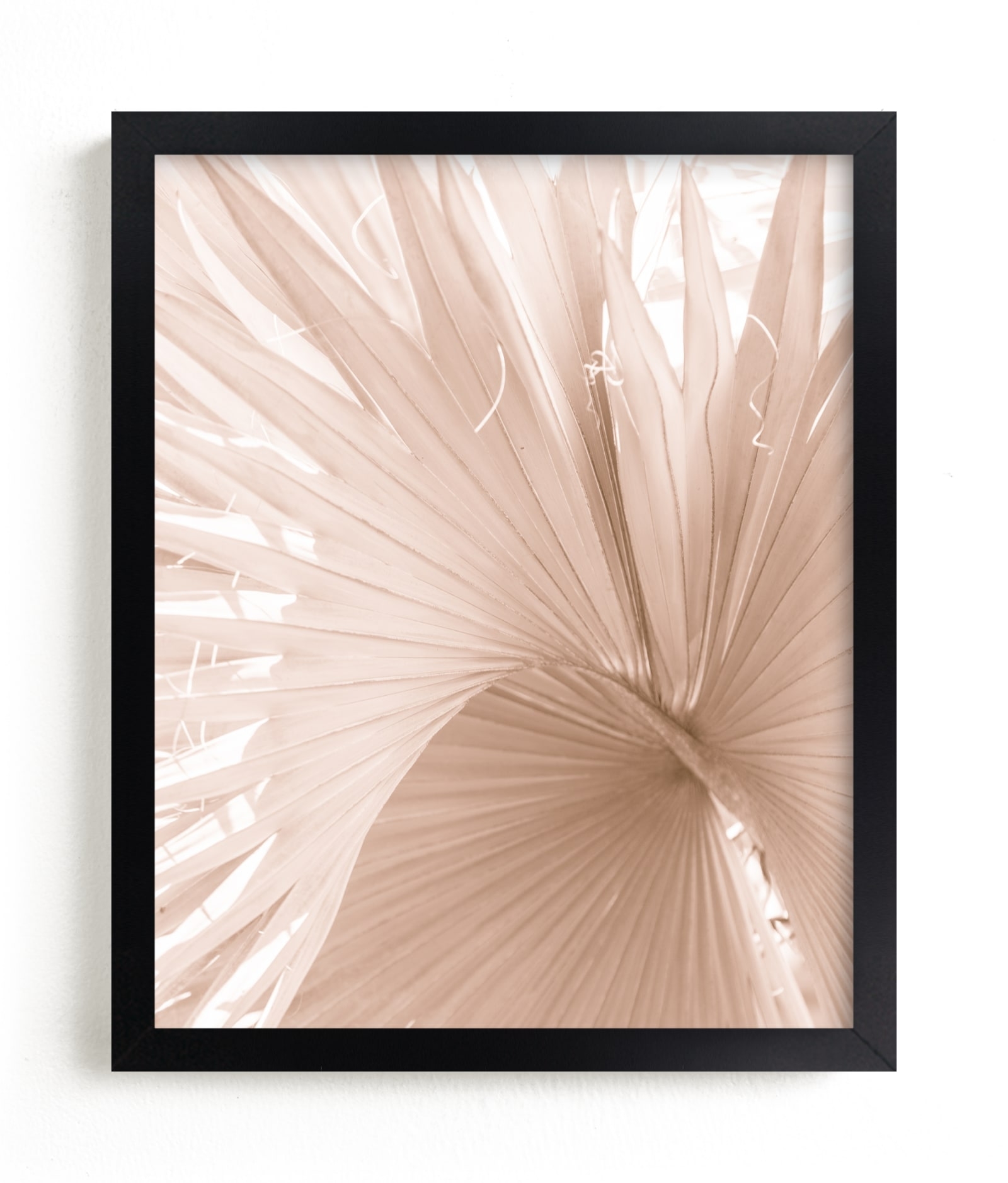 Whirl Limited Edition Fine Art Print 2 - Image 0