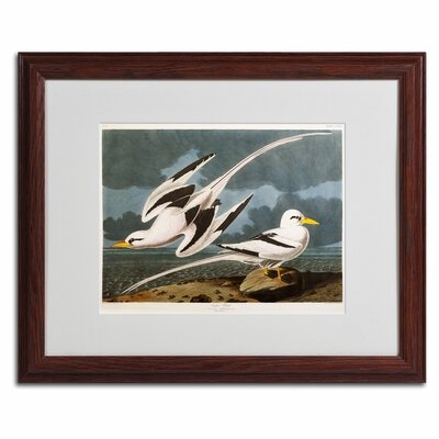Tropic Bird by John James Audubon Matted Framed Painting Print - Image 0