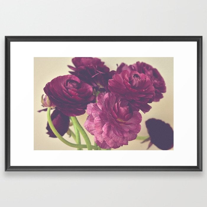 Romantic Ranunculus Framed Art Print by Olivia Joy St.claire - Cozy Home Decor, - Scoop Black - LARGE (Gallery)-26x38 - Image 0