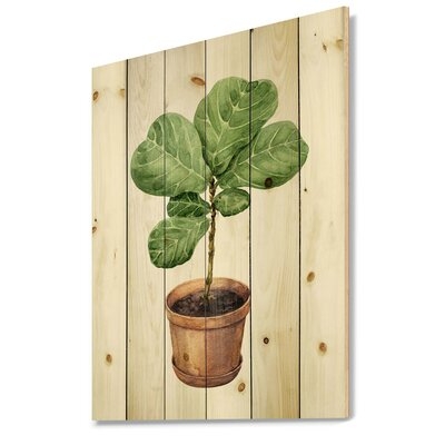Ficus Lyre In Clay Flowerpot - Traditional Print On Natural Pine Wood - Image 0