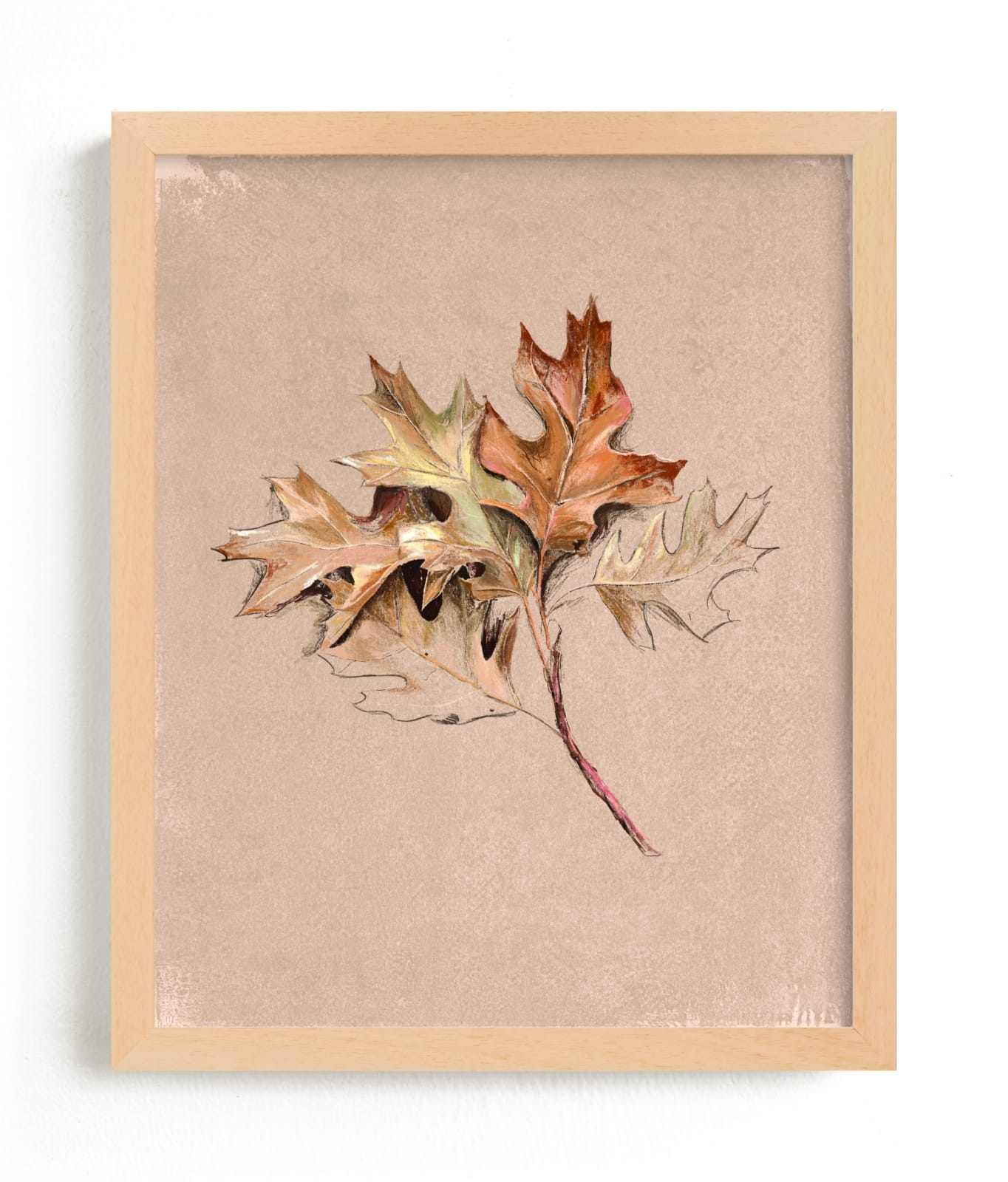 Leaf Study Limited Edition Fine Art Print 2 - Image 0