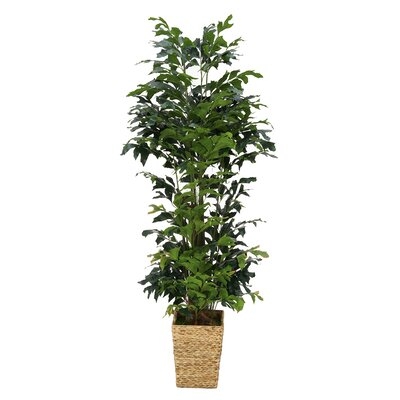 72" Artificial Palm Tree in Basket - Image 0