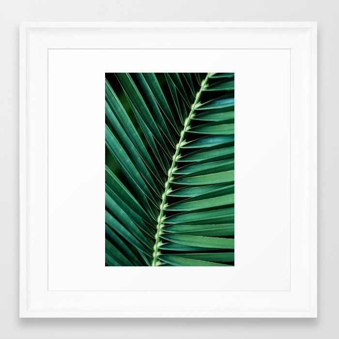 Palm Leaves 14 Framed Art Print by Mareike BaPhmer - Scoop White - X-Small 10" x 10"-12x12 - Image 0