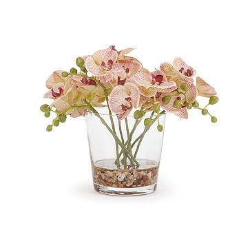 Phalaenopsis Arrangement, Pink - Image 0