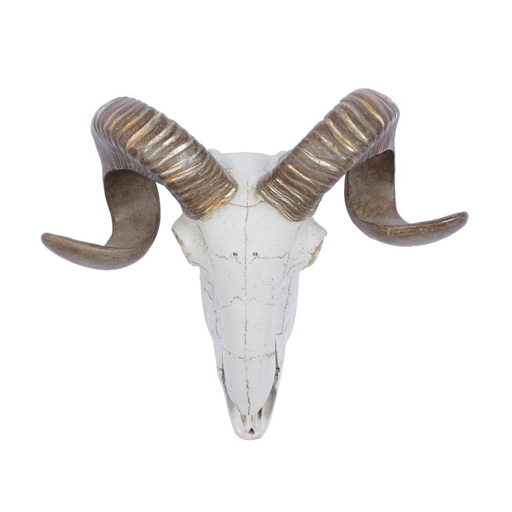 Polystone Brown and White Ram Skull with Horns Wall Decor, Multi - Image 0