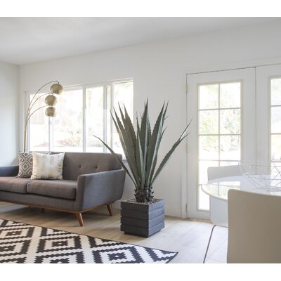 Indoor/Outdoor Agave Plant in Planter - Image 0