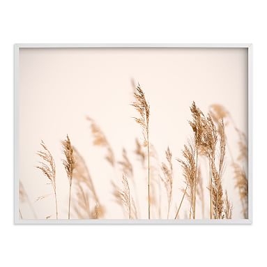 Summer Weeds Framed Art by Minted(R), White, 30x40 - Image 0