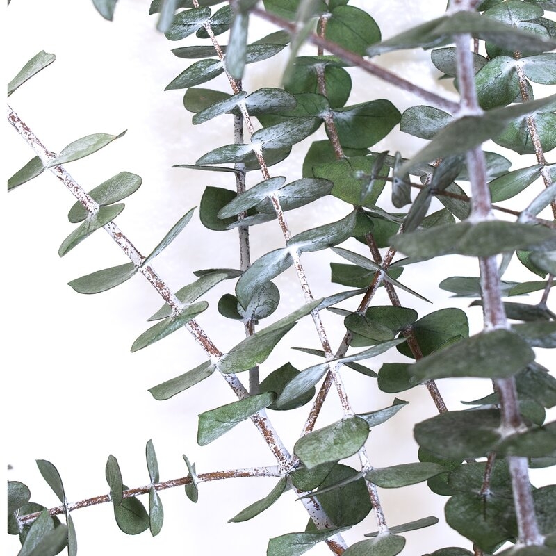 Preserved Eucalyptus Branch, Green, 30" - Image 2