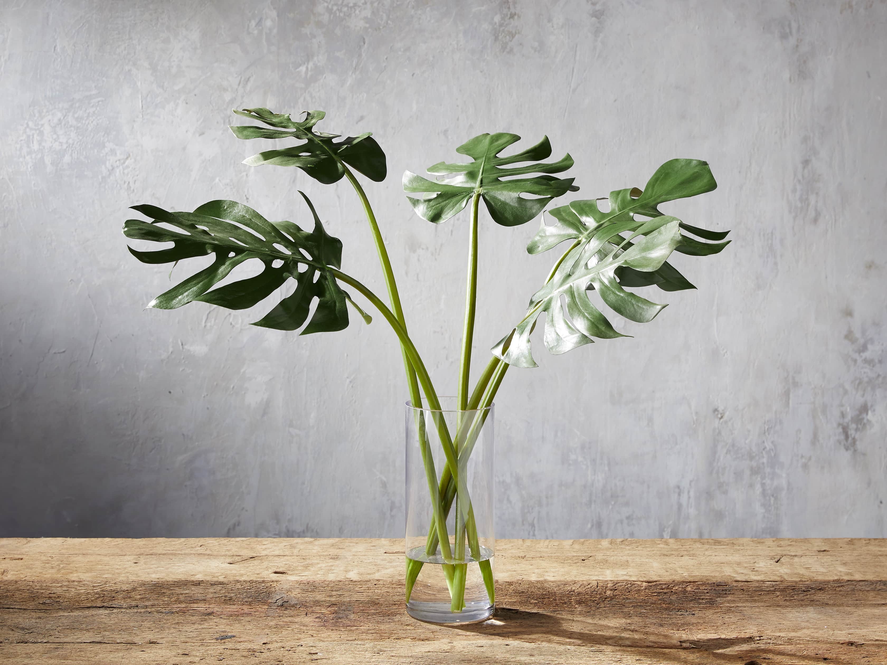 Faux Calla Leaf in Small Vase White - Image 0