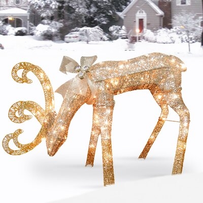 Lighted Display - Image 0