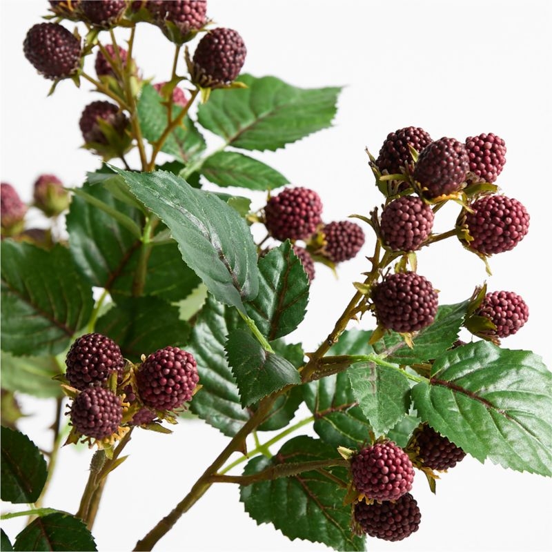 Faux Raspberry Bundle by Abigail Ahern - Image 1