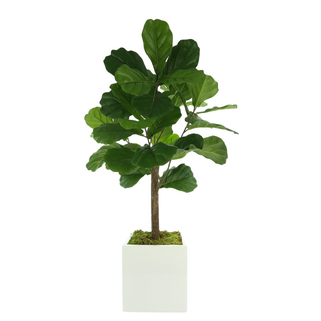 "Creative Displays, Inc. Fiddle Fig Leaf Tree" - Image 0