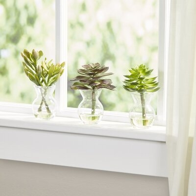 3 Piece Artificial Succulent in Decorative Vase Set - Image 0