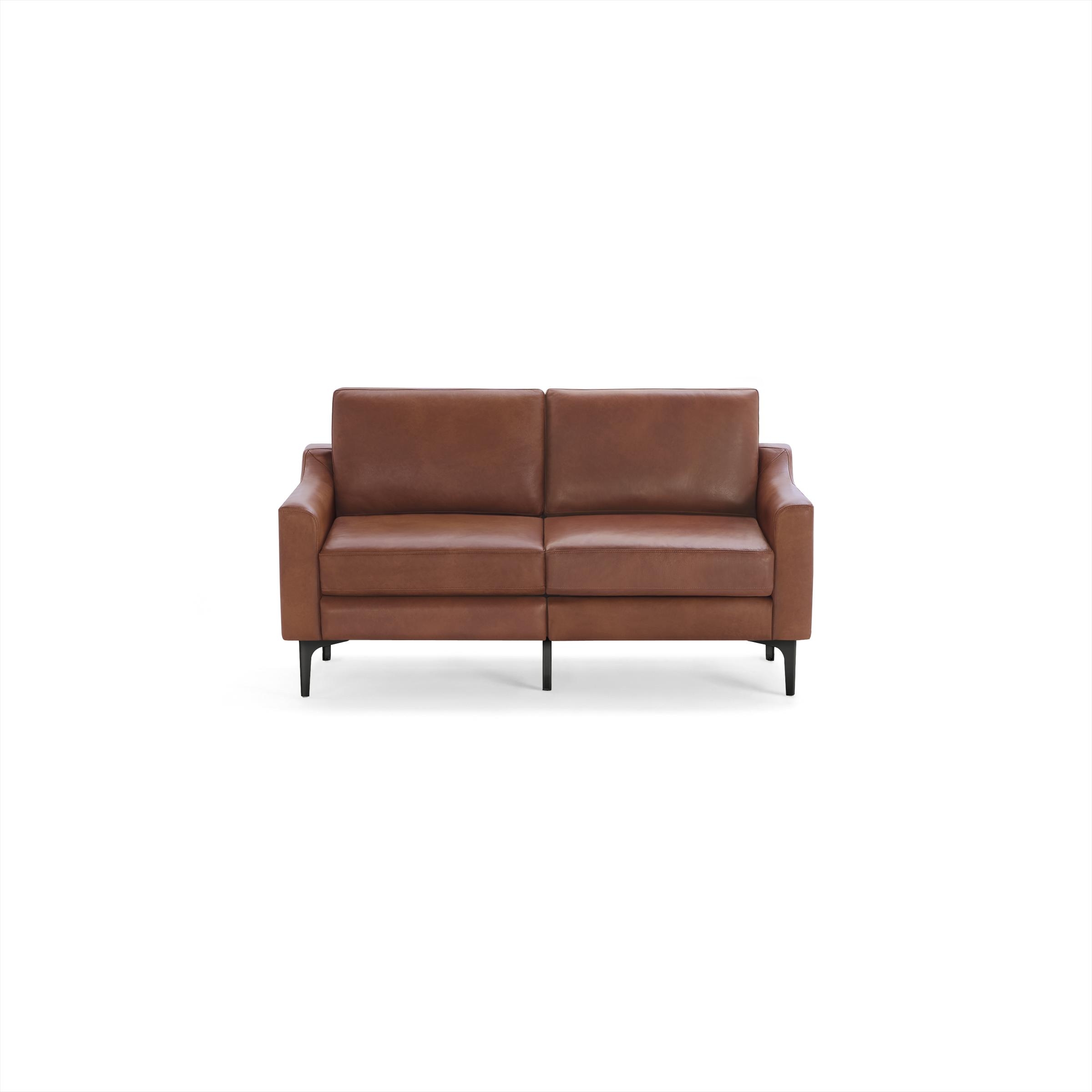 The Slope Nomad Leather Loveseat in Chestnut - Image 0