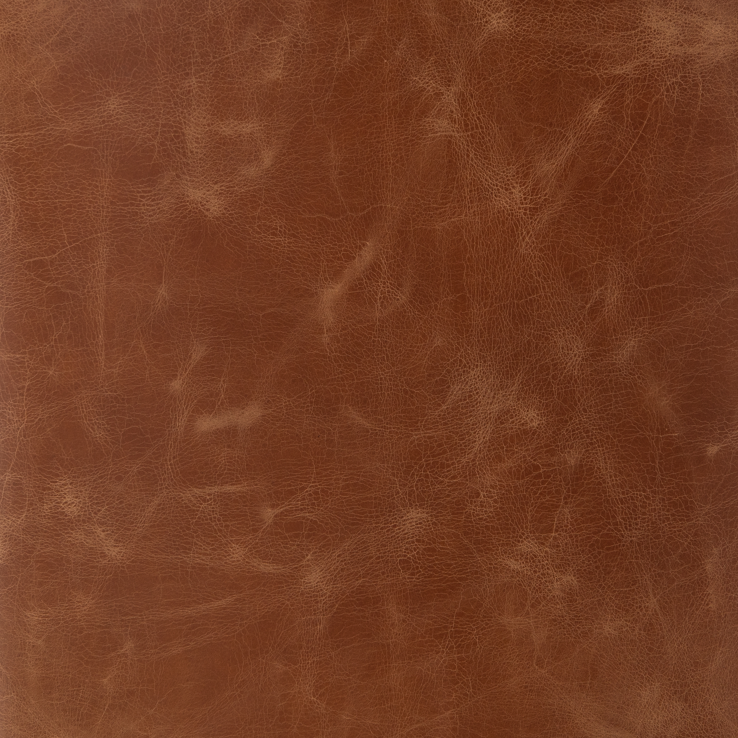 Aria Dining Chair - Sienna Chestnut - Image 6