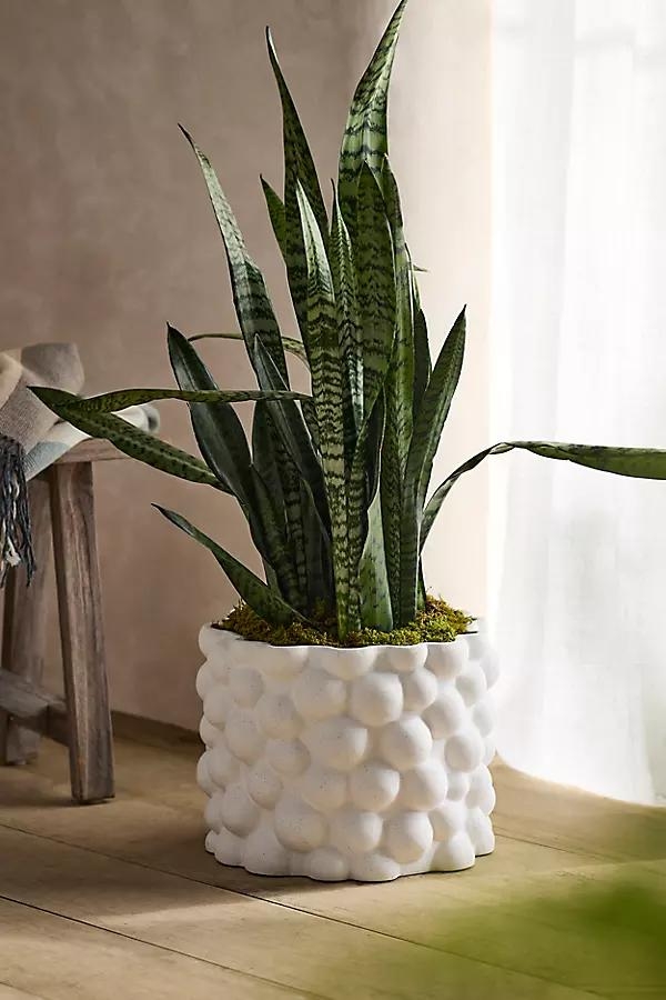 Bubbles Ceramic Cylinder Planter - Image 0