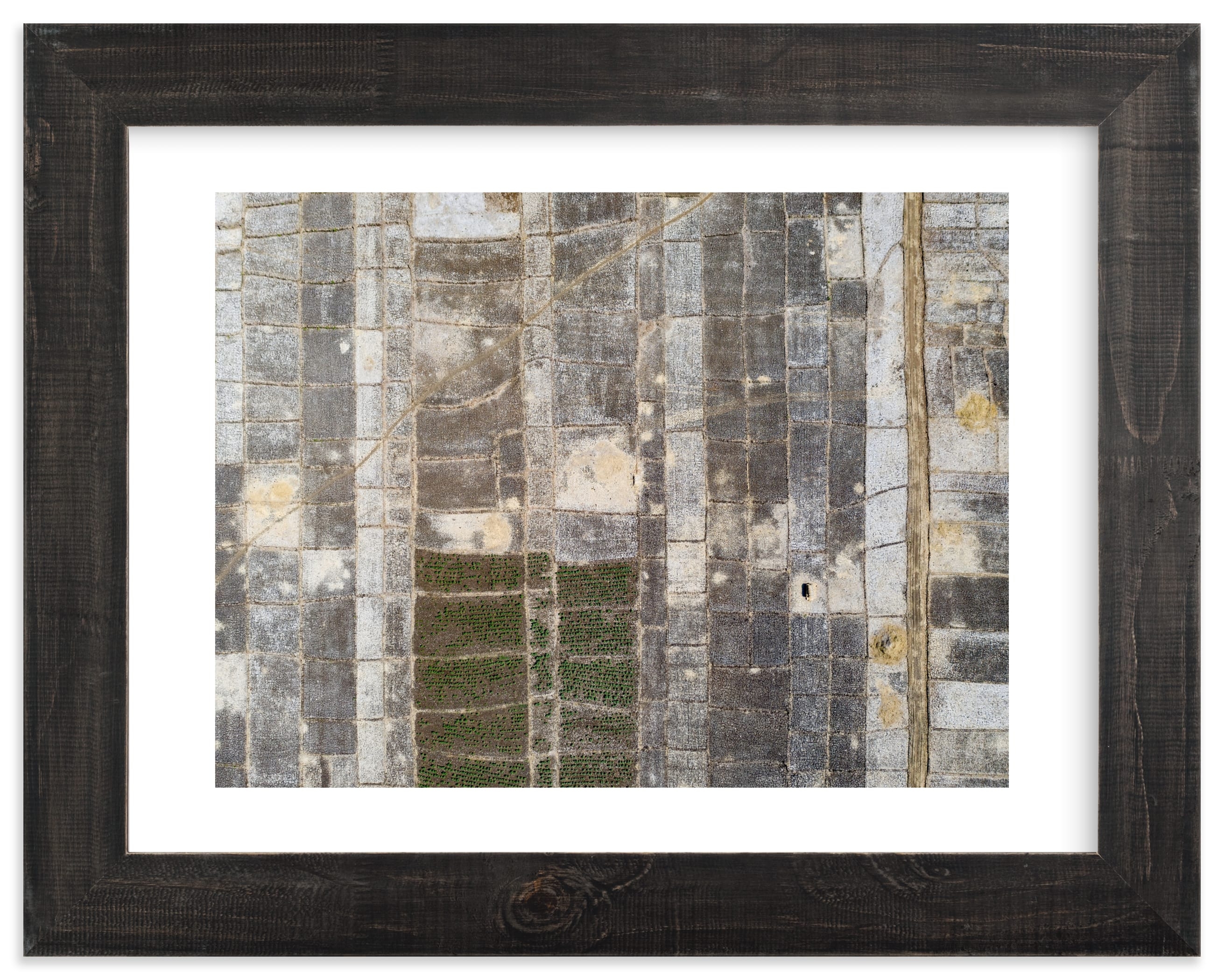 Transition Limited Edition Fine Art Print 2 - Image 0