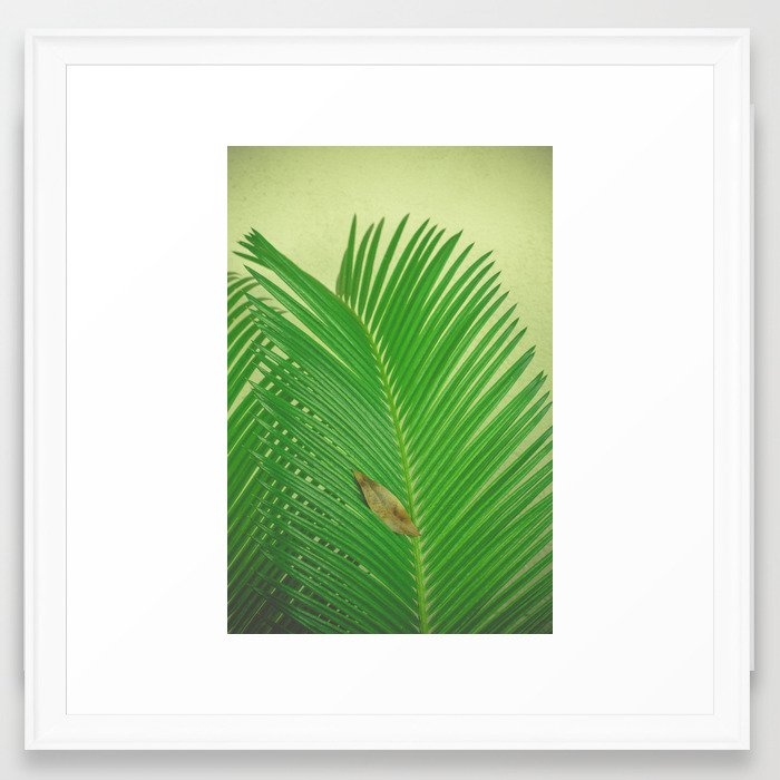 Tropical Framed Art Print by Olivia Joy St Claire X  Modern Photograp - Scoop White - Medium(Gallery) 20" x 20"-22x22 - Image 0