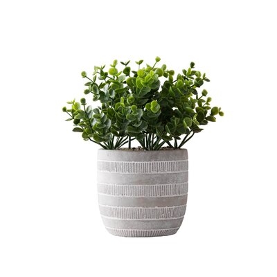9.5'' Artificial Boxwood Plant in Pot - Image 0
