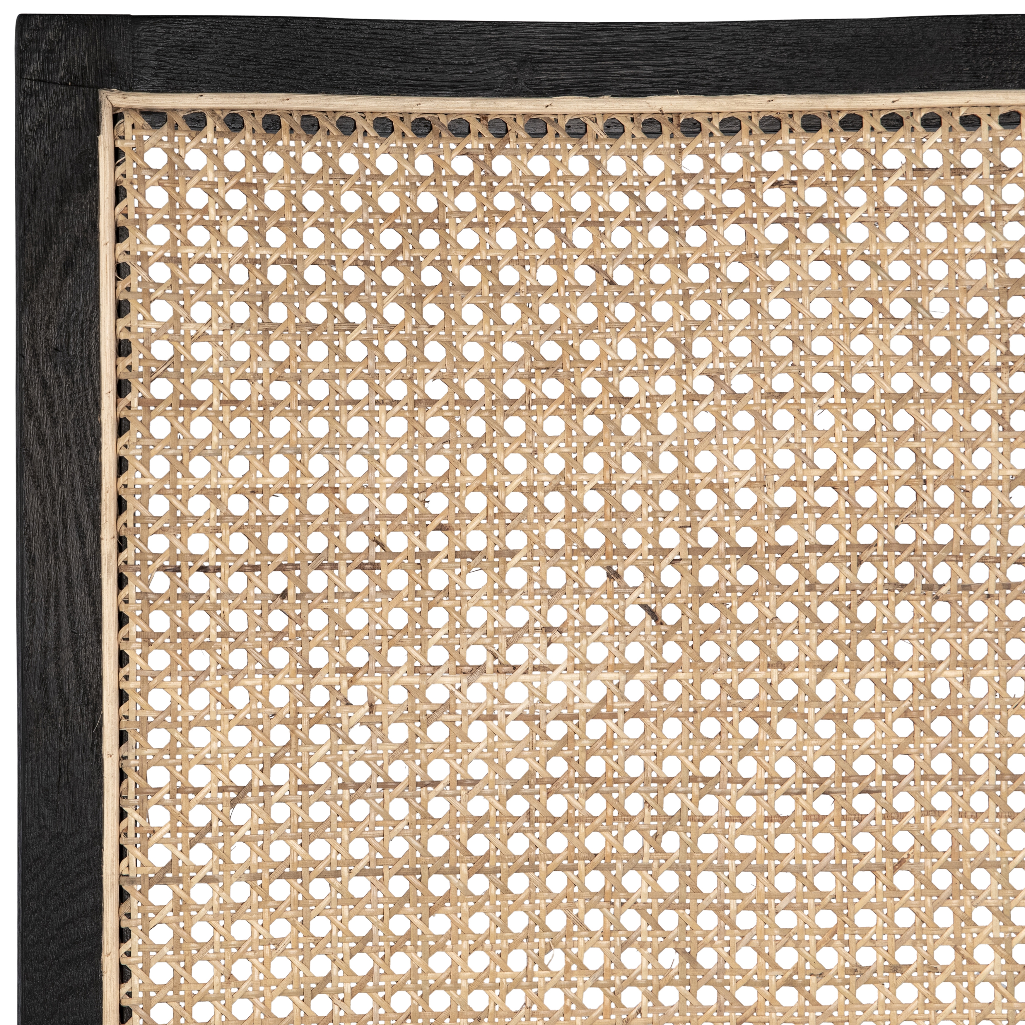 Norton Dining Chair Set of 2 Black - Image 1