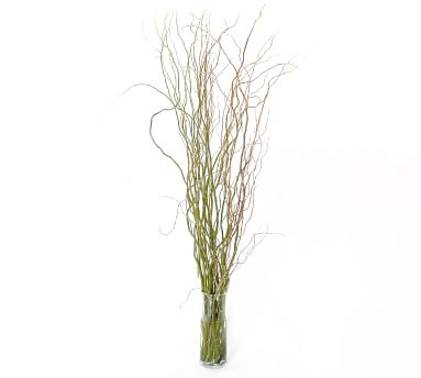 Live Curly Willow Branches, 3 Bunches - Image 3