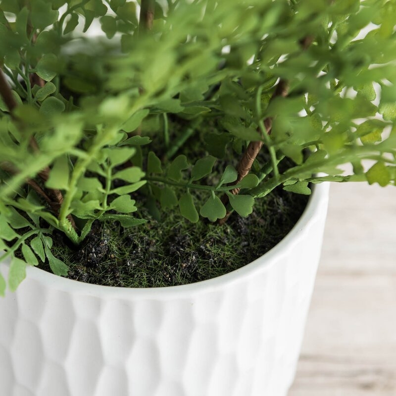 Artificial Fern Plant in Pot, 15" - Image 3