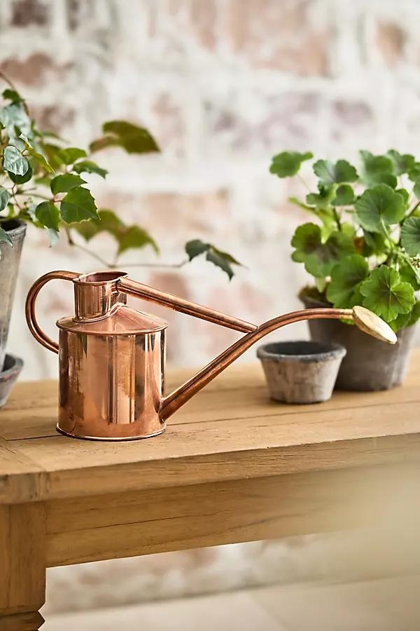 Rowley Ripple 1 Liter Watering Can, Copper - Image 0