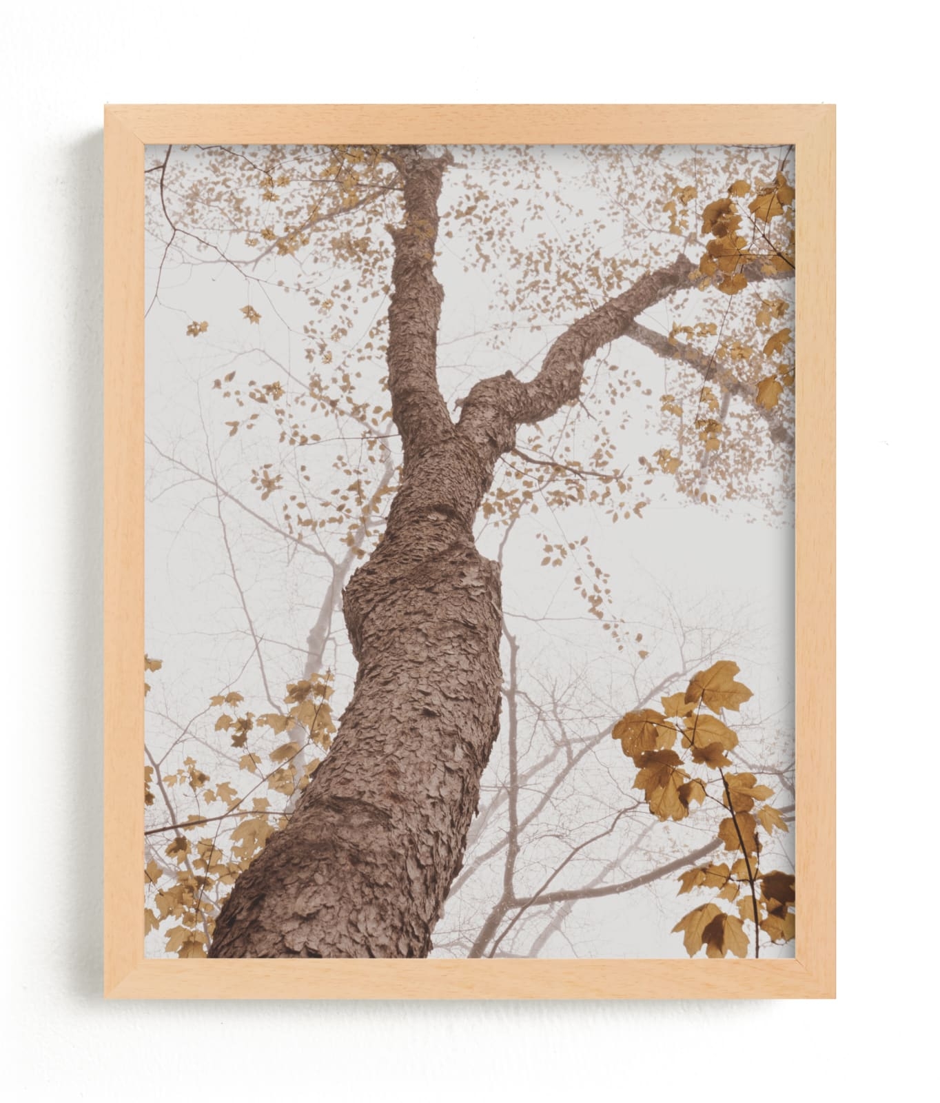 Be Still I Limited Edition Fine Art Print 2 - Image 0