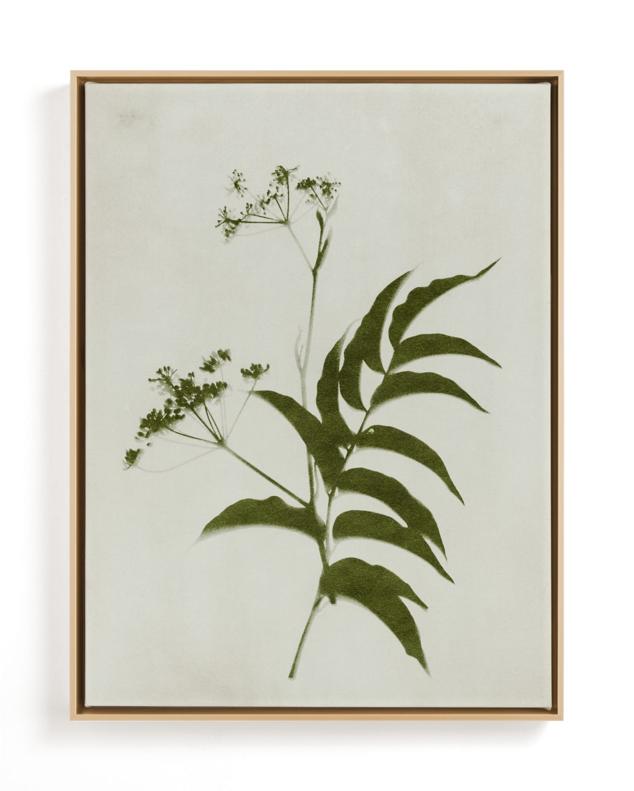 Foraged III Limited Edition Fine Art Print 2 - Image 0