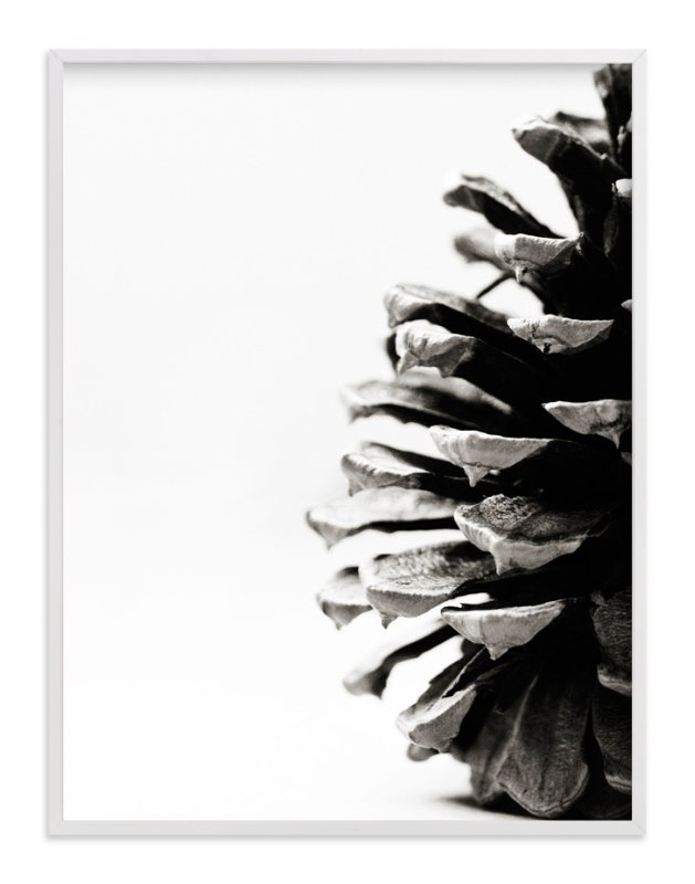 Pine Cone Limited Edition Fine Art Print 1 - Image 0