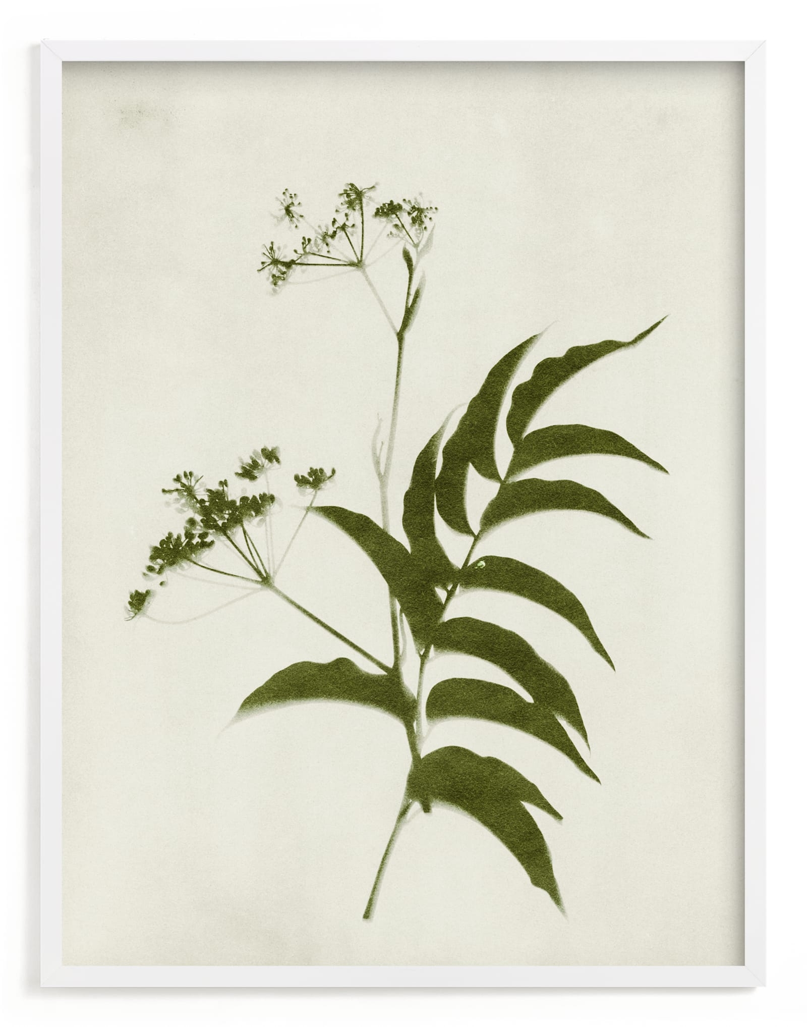 Foraged III Limited Edition Fine Art Print 2 - Image 0