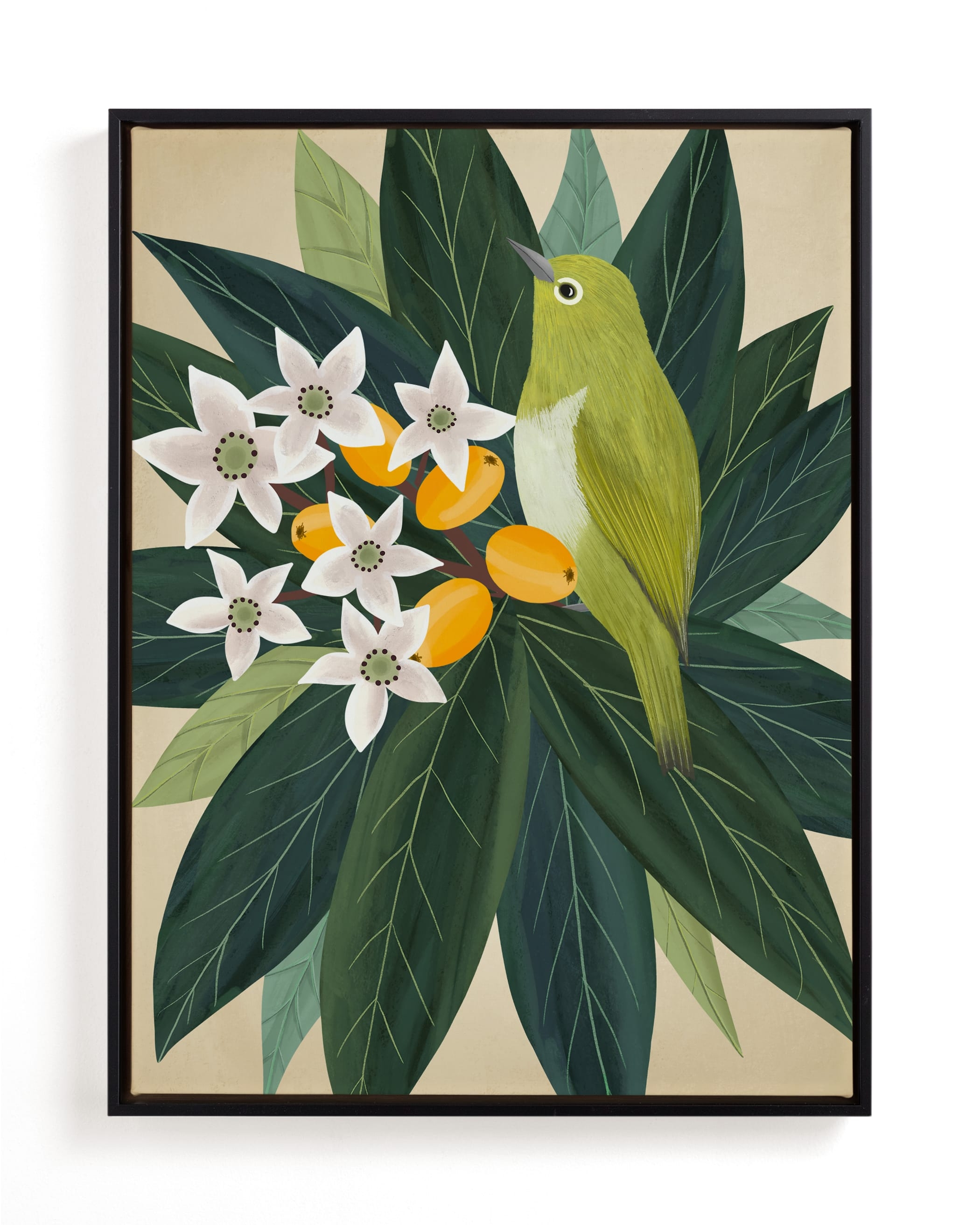 Loquat Limited Edition Fine Art Print 2 - Image 0