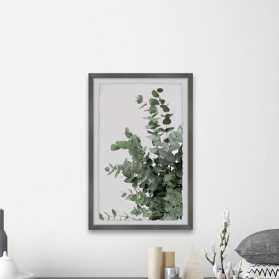 'Evergreen Shrub' - Picture Frame Photograph Print on Paper - Image 0