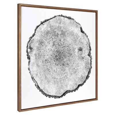 Millwood Pines Sylvie Tree Rings Framed Canvas By Emiko And Mark Franzen Of F2images 30X30 Gold - Image 0
