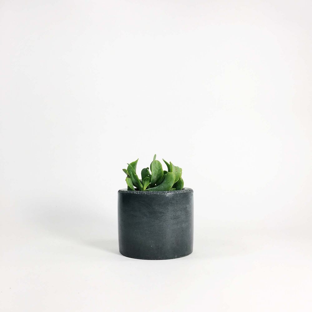 Settlewell Concrete Vase, Dark Gray - Image 0