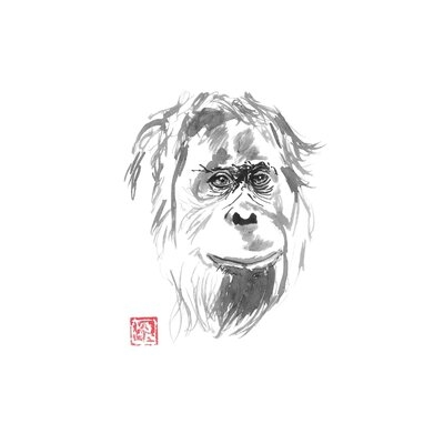 Orangutan Smile by Péchane - Wrapped Canvas Painting Print - Image 0