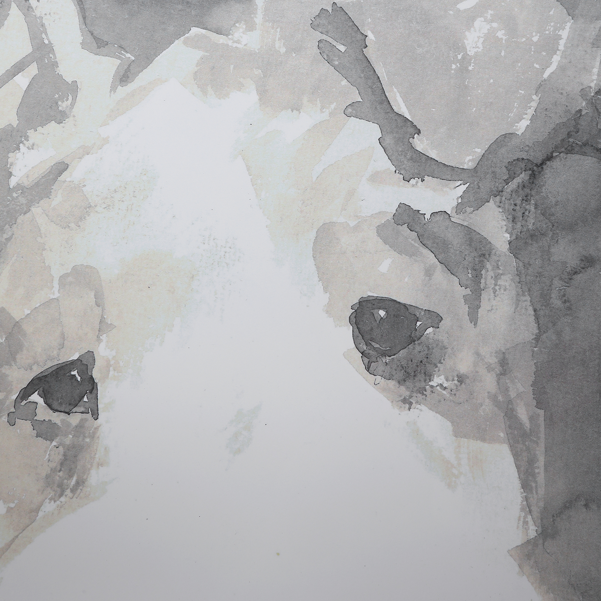 Modern Dogs Framed Prints, S/4 - Image 3
