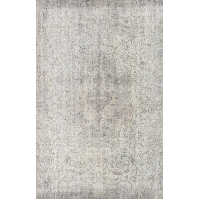 Oriental Wool Beige/Gray Area Rug - Image 0