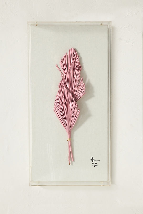Dried Botanical Wall Art By Anthropologie in Pink Size S - Image 0