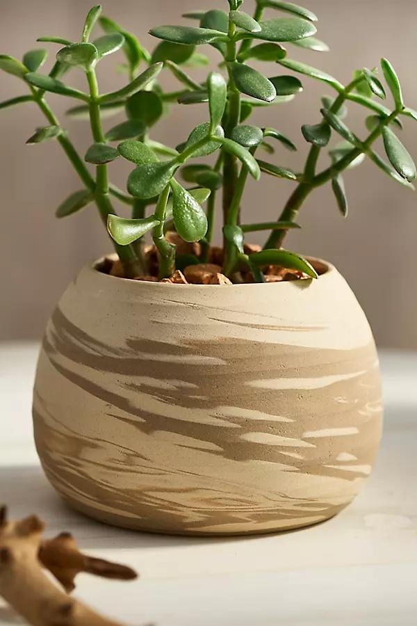 Swirl Globe Stoneware Planter - Image 0