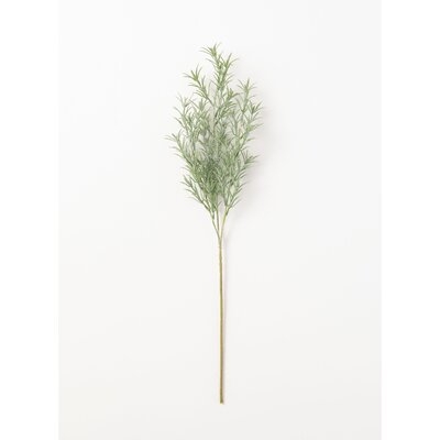 Rosemary Branch - Image 0