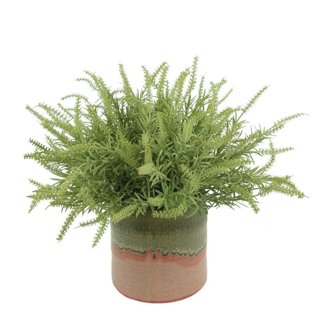 "Creative Displays, Inc. Astilbe In Multi Colored Pot" - Image 0