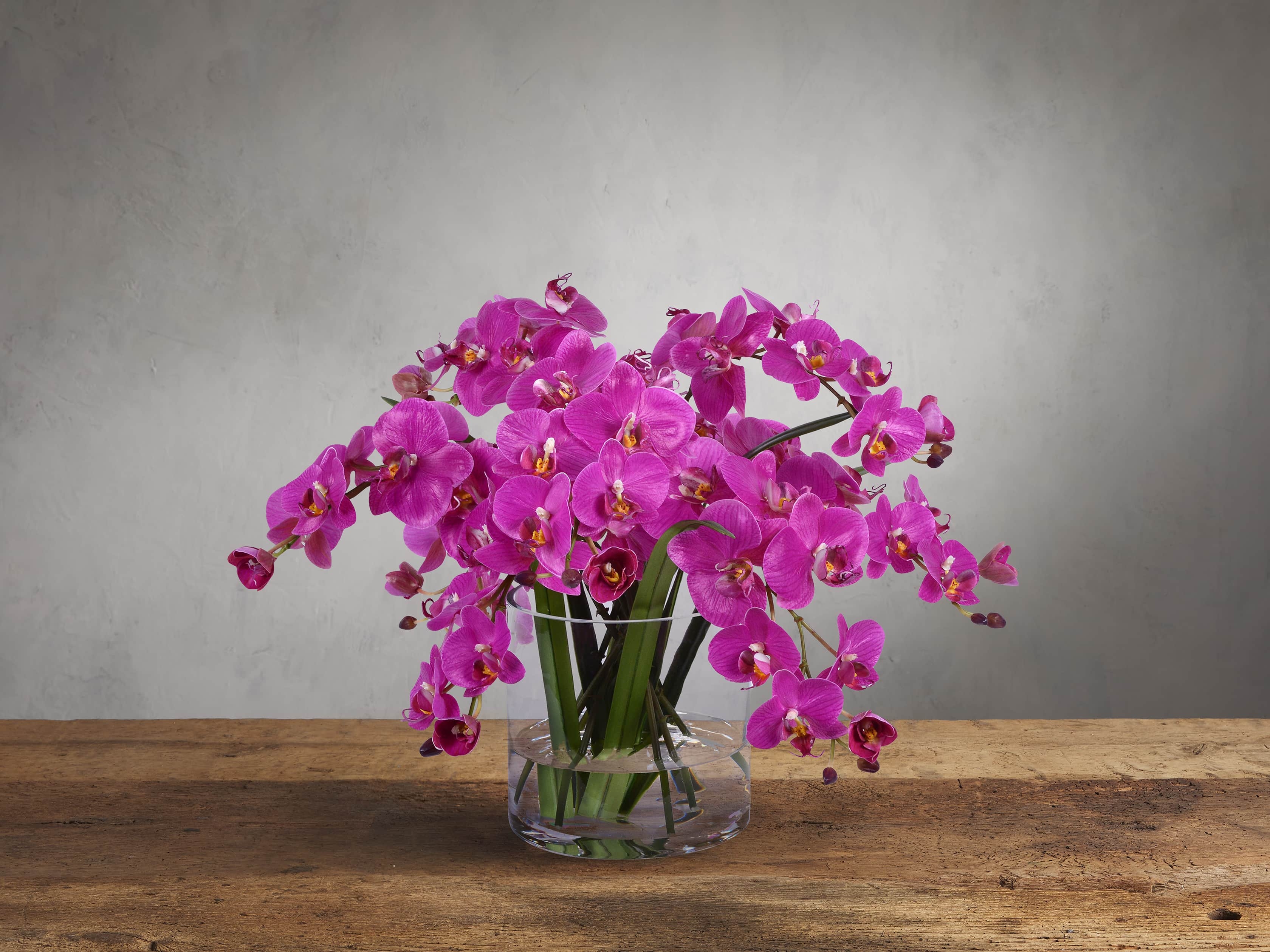 Faux Fuchsia Phalaenopsis in Glass Pink - Image 0