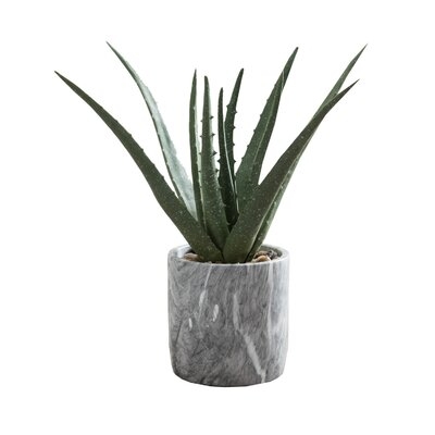 9.25'' Artificial Succulent Plant in Pot - Image 0