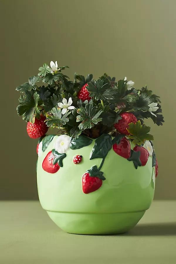 Foster Icon Stoneware Pot - Image 0