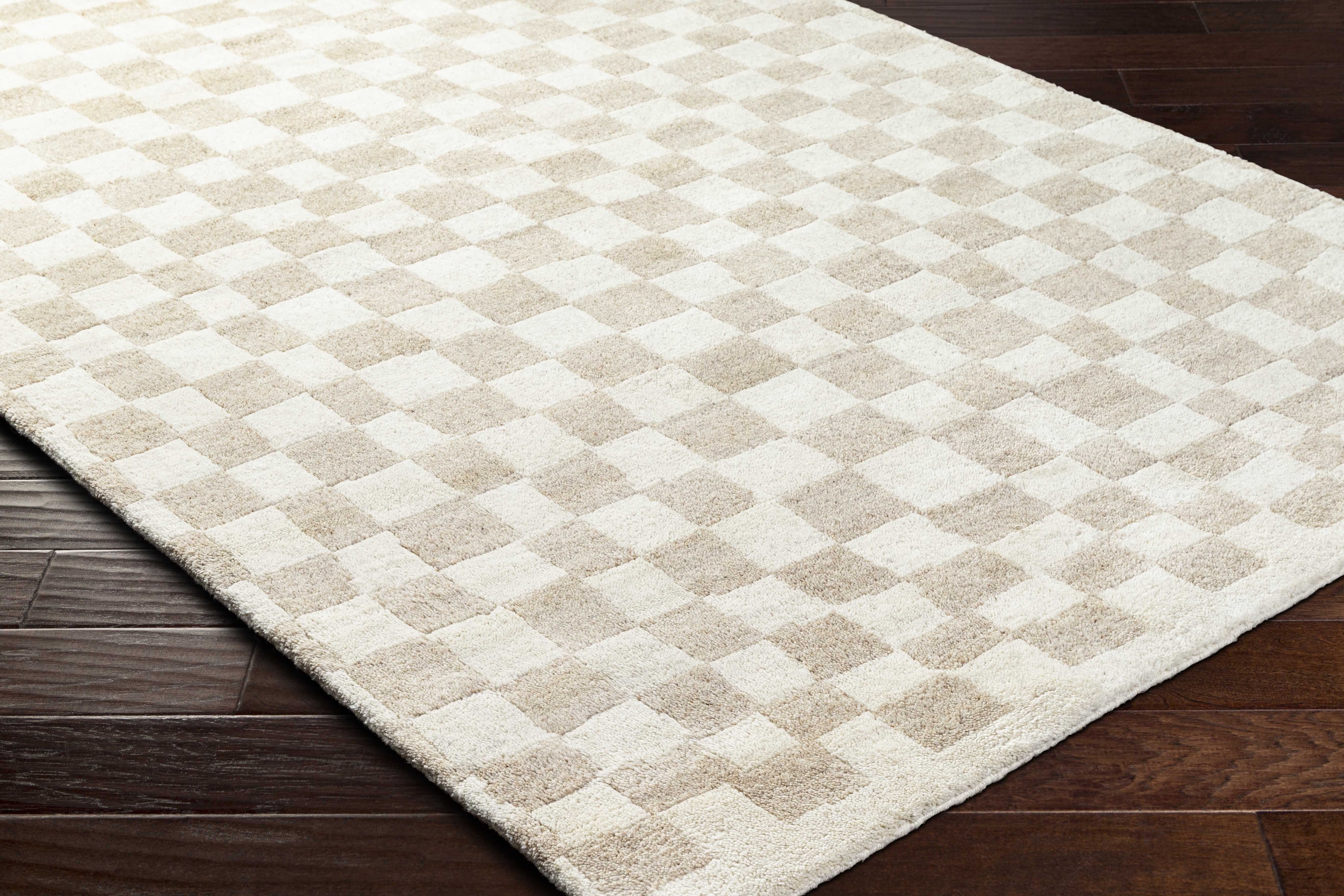 Damier Beige Indoor 10' x 14' Handmade Rug - Image 5