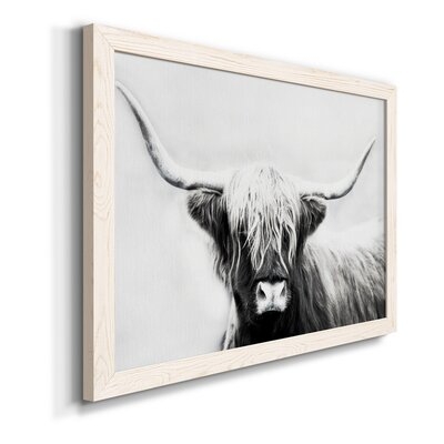  Highland Longhorn-Premium Framed Canvas - Ready To Hang - Image 0